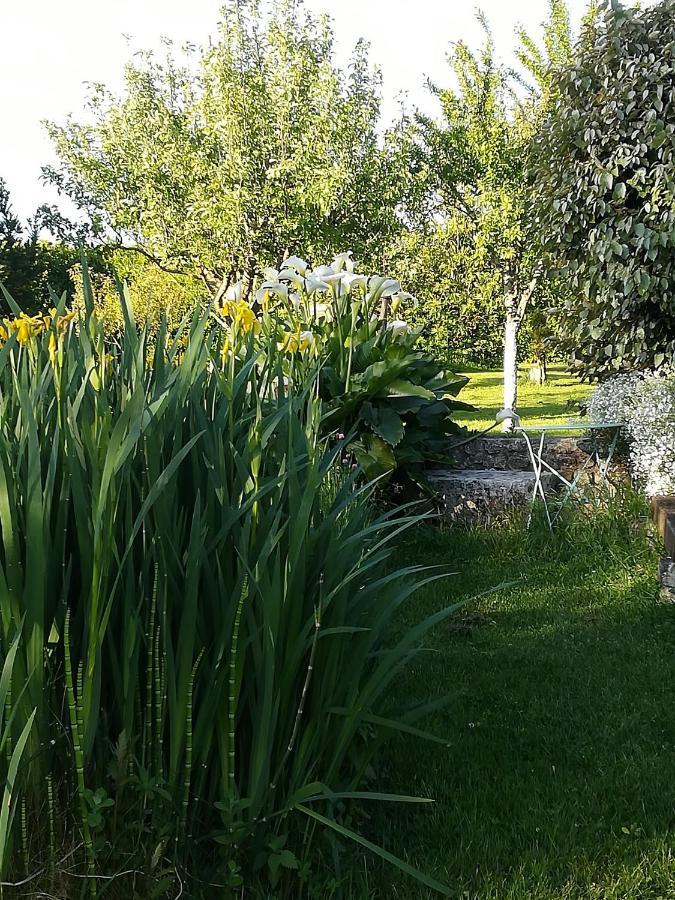 La Cle Du Puy Bed & Breakfast Cabariot Bagian luar foto